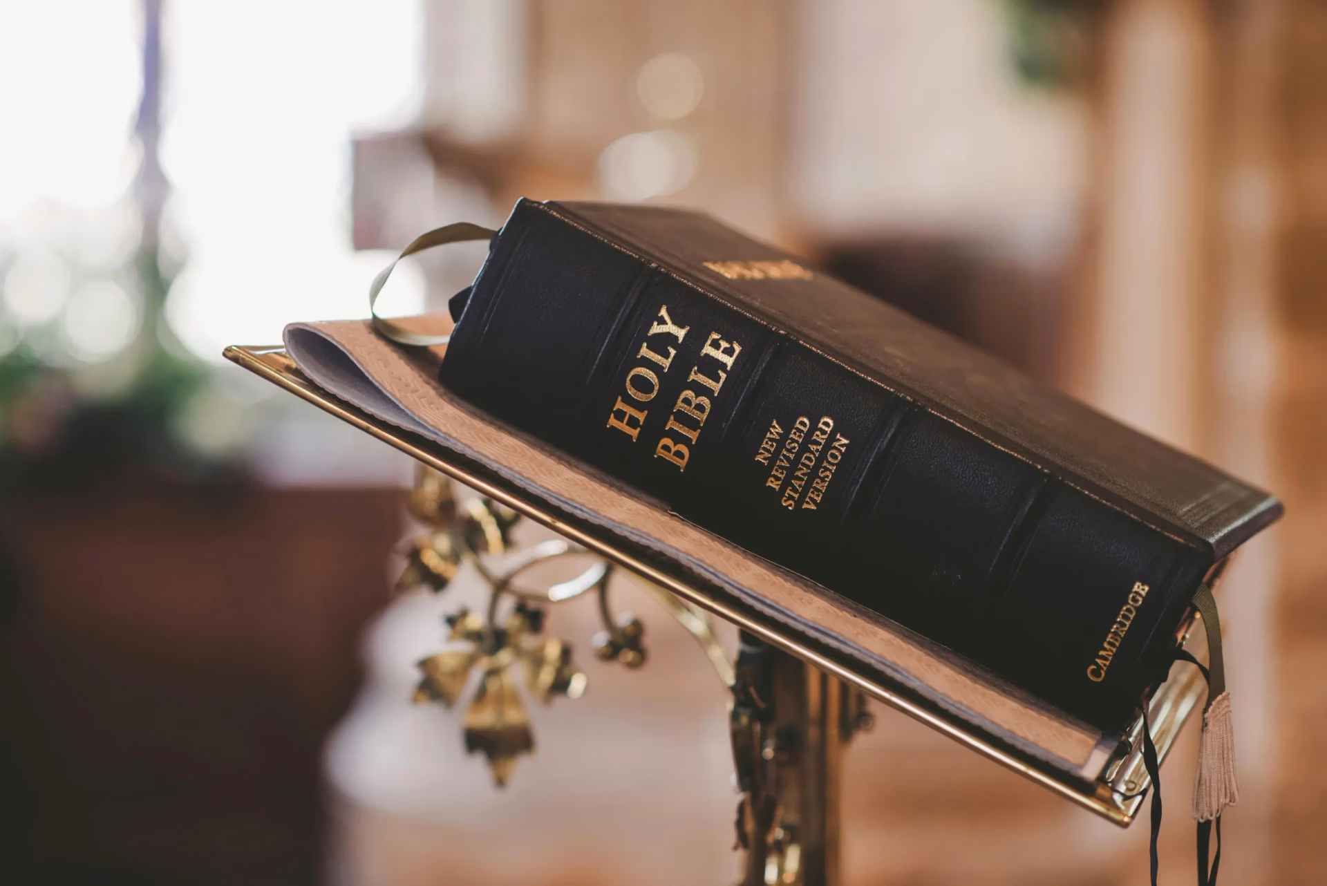 Chronological bible reading plans